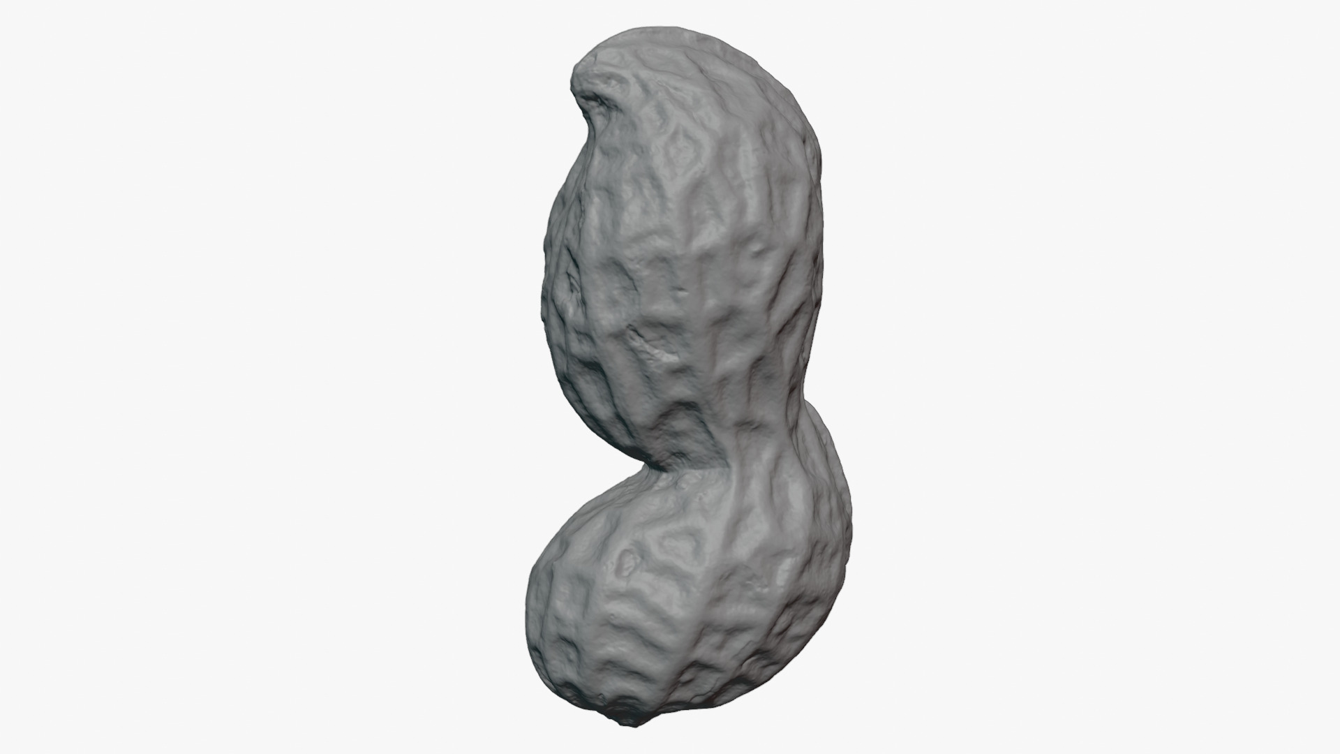 Peanut Shell 02 - For 3D Print 3D Model