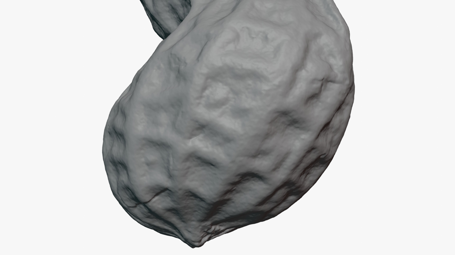 Peanut Shell 02 - For 3D Print 3D Model