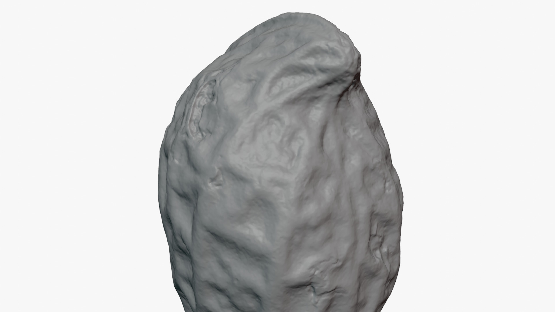 Peanut Shell 02 - For 3D Print 3D Model