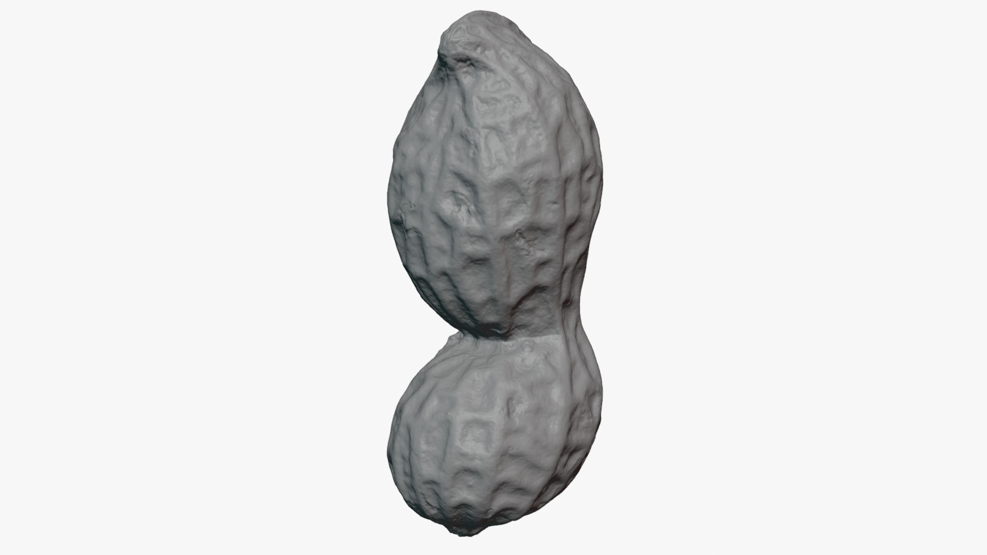 Peanut Shell 02 - For 3D Print 3D Model