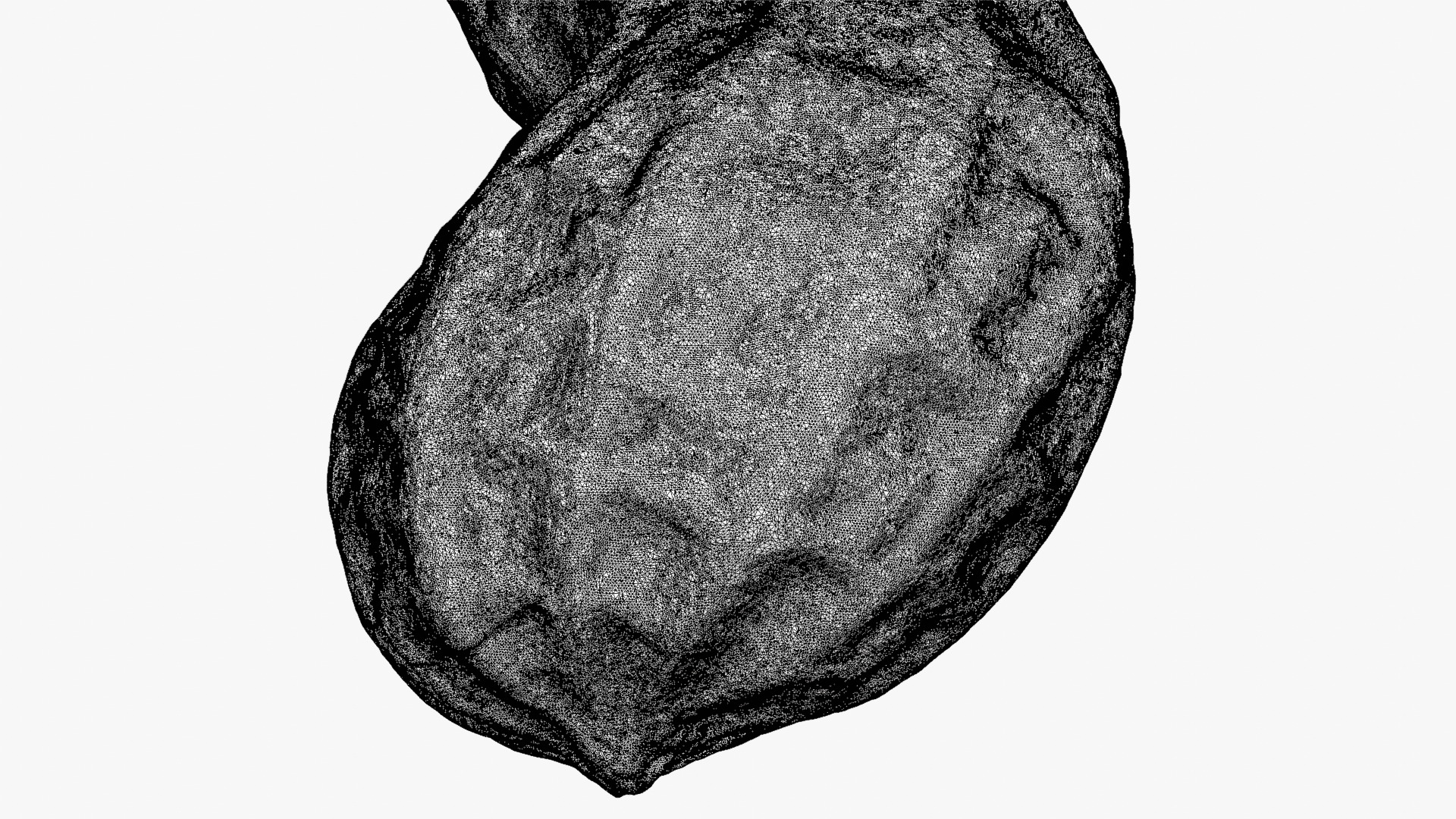 Peanut Shell 02 - For 3D Print 3D Model
