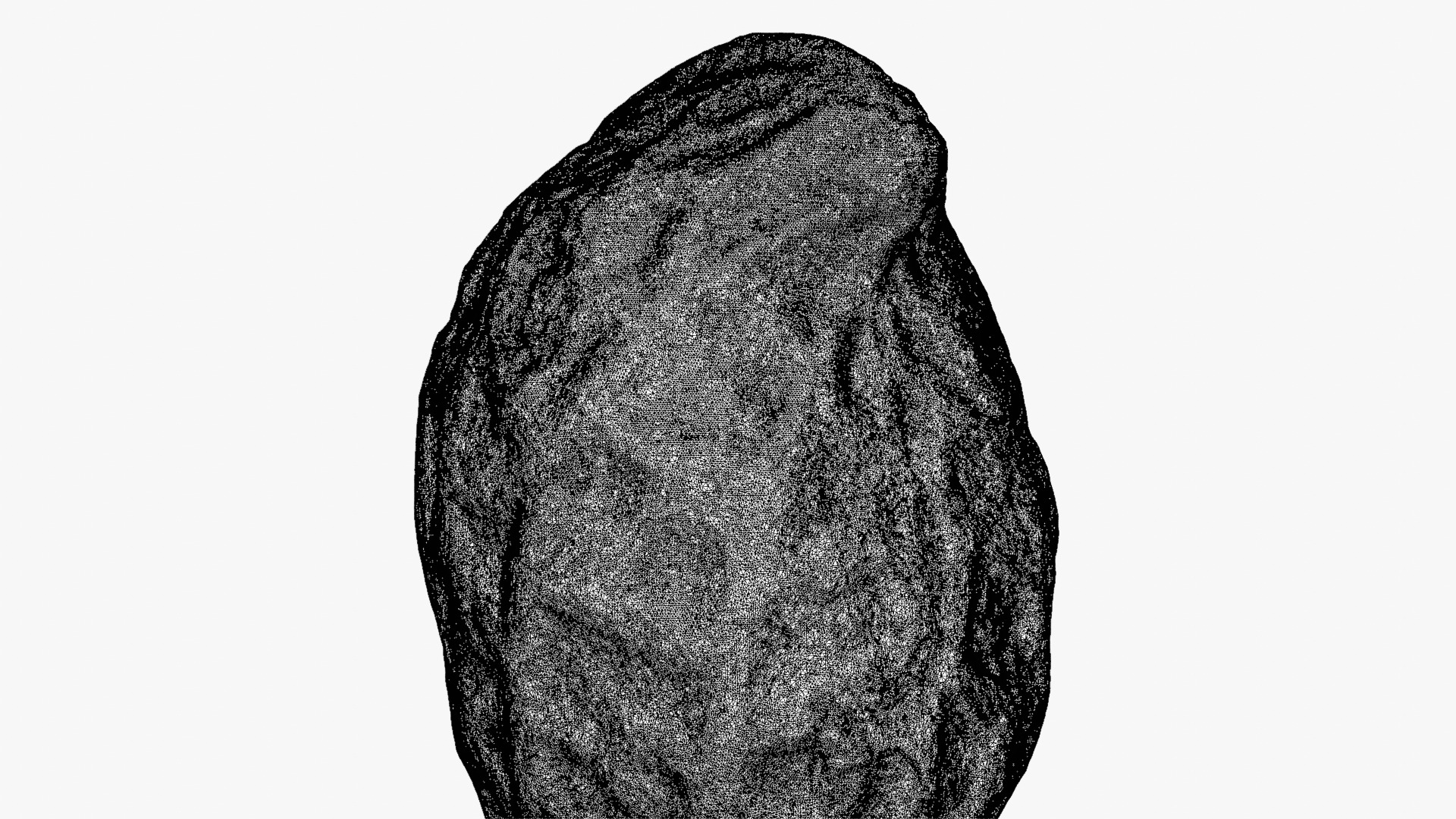 Peanut Shell 02 - For 3D Print 3D Model