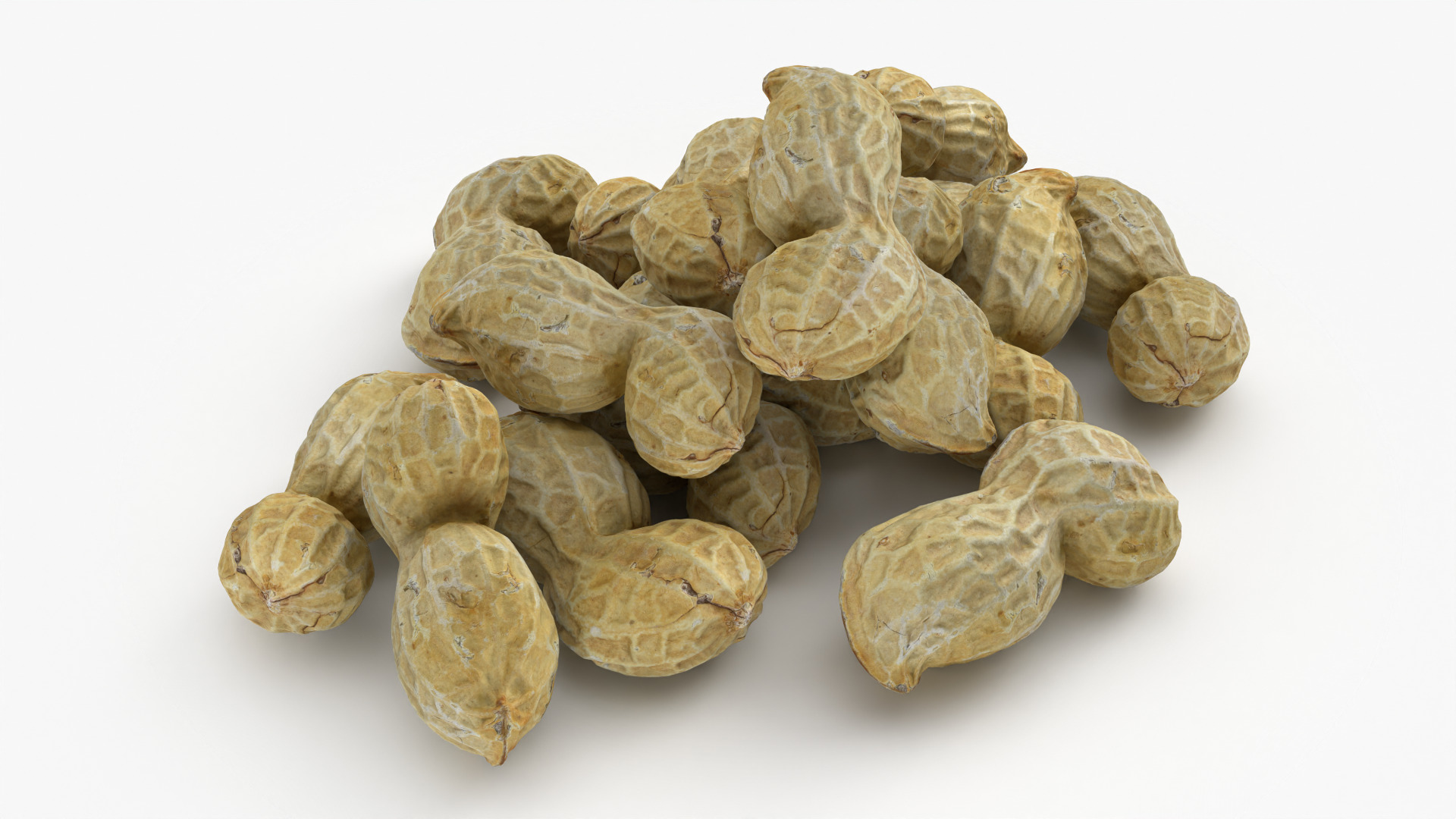 Peanut Shell Pile 3D Model