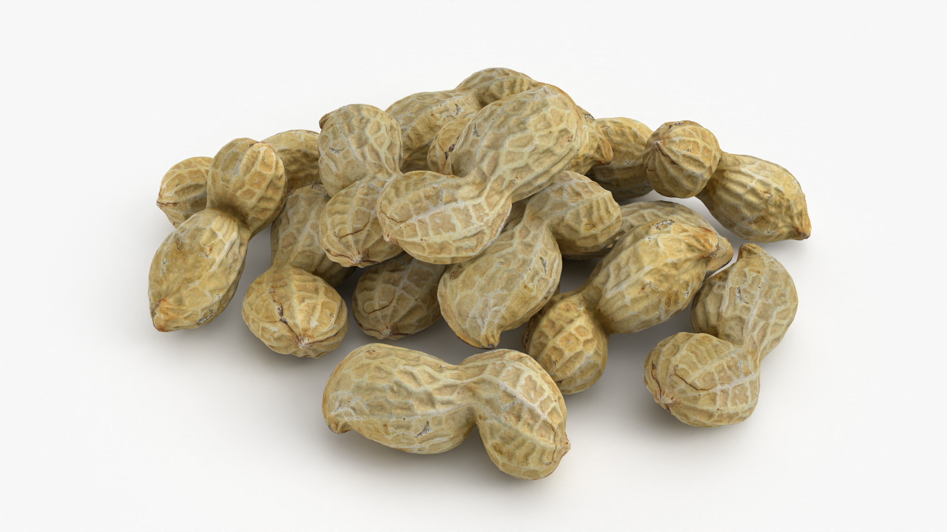 Peanut Shell Pile 3D Model