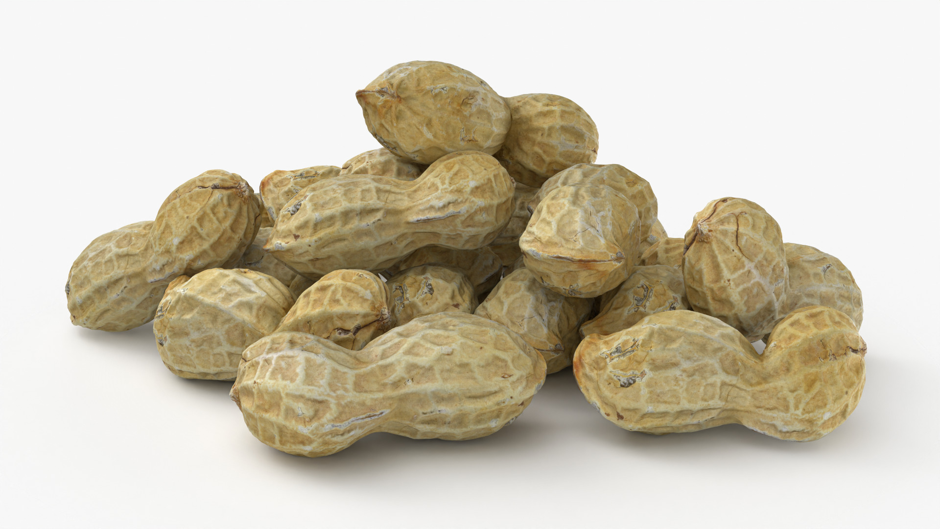 Peanut Shell Pile 3D Model