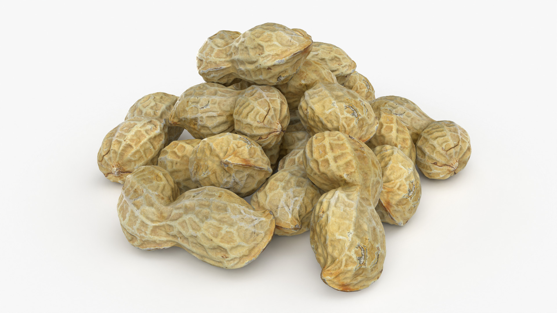 Peanut Shell Pile 3D Model