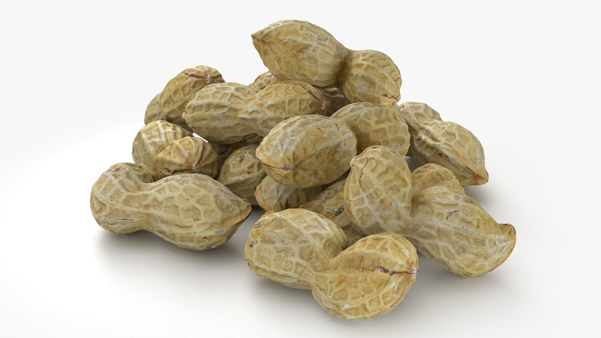 Peanut Shell Pile 3D Model