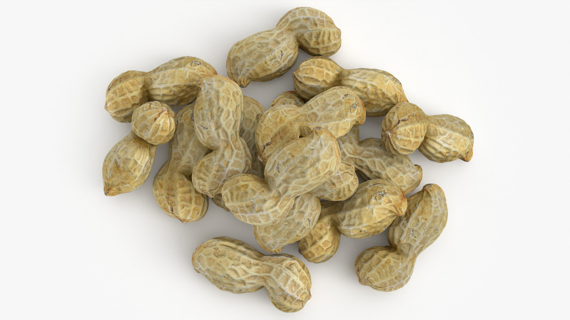 Peanut Shell Pile 3D Model