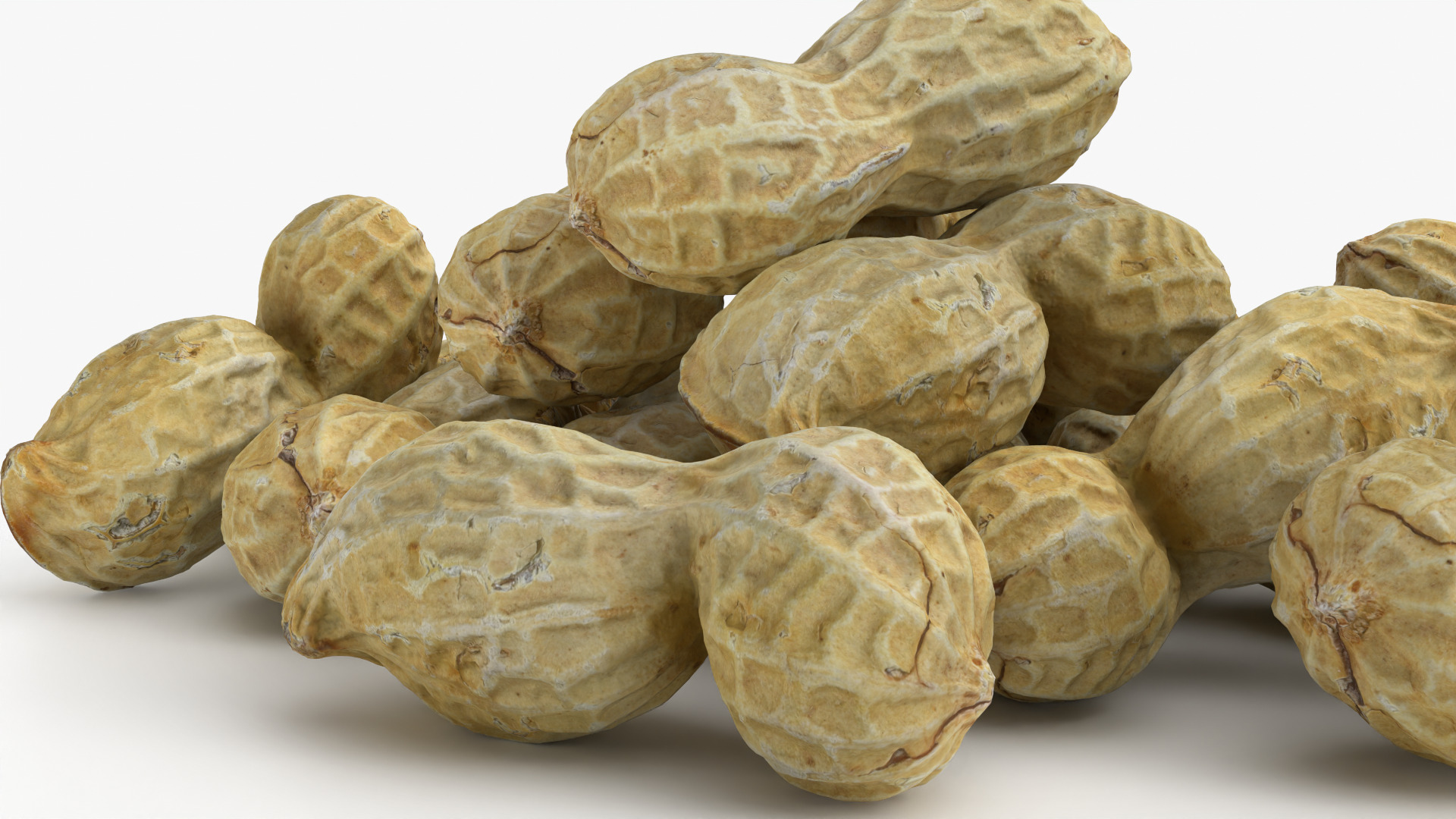 Peanut Shell Pile 3D Model