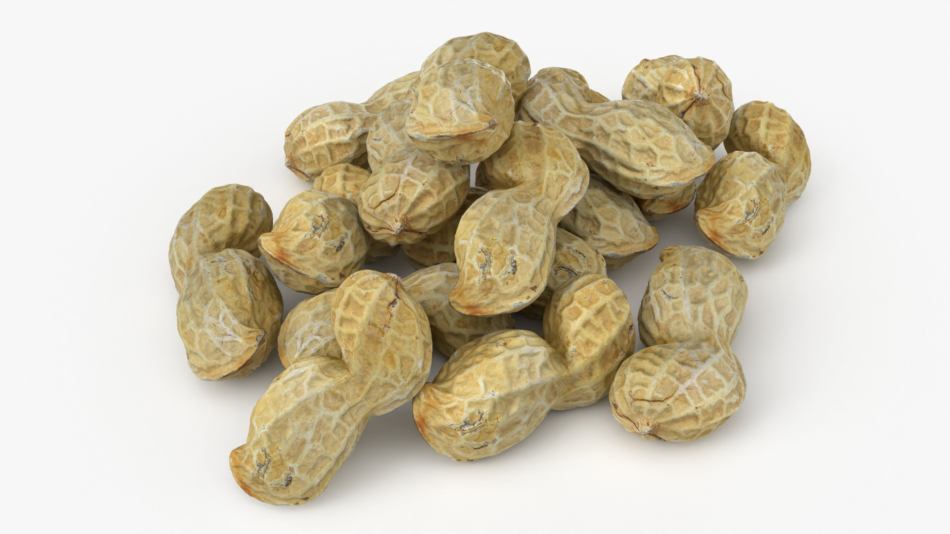 Peanut Shell Pile 3D Model
