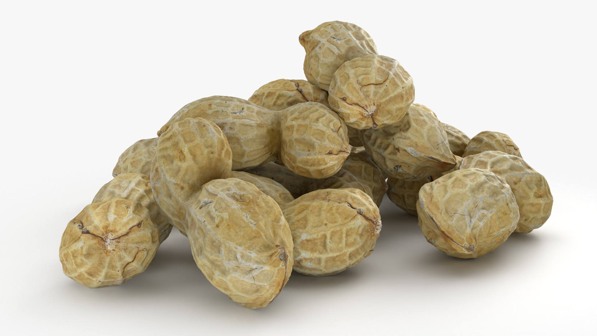 Peanut Shell Pile 3D Model