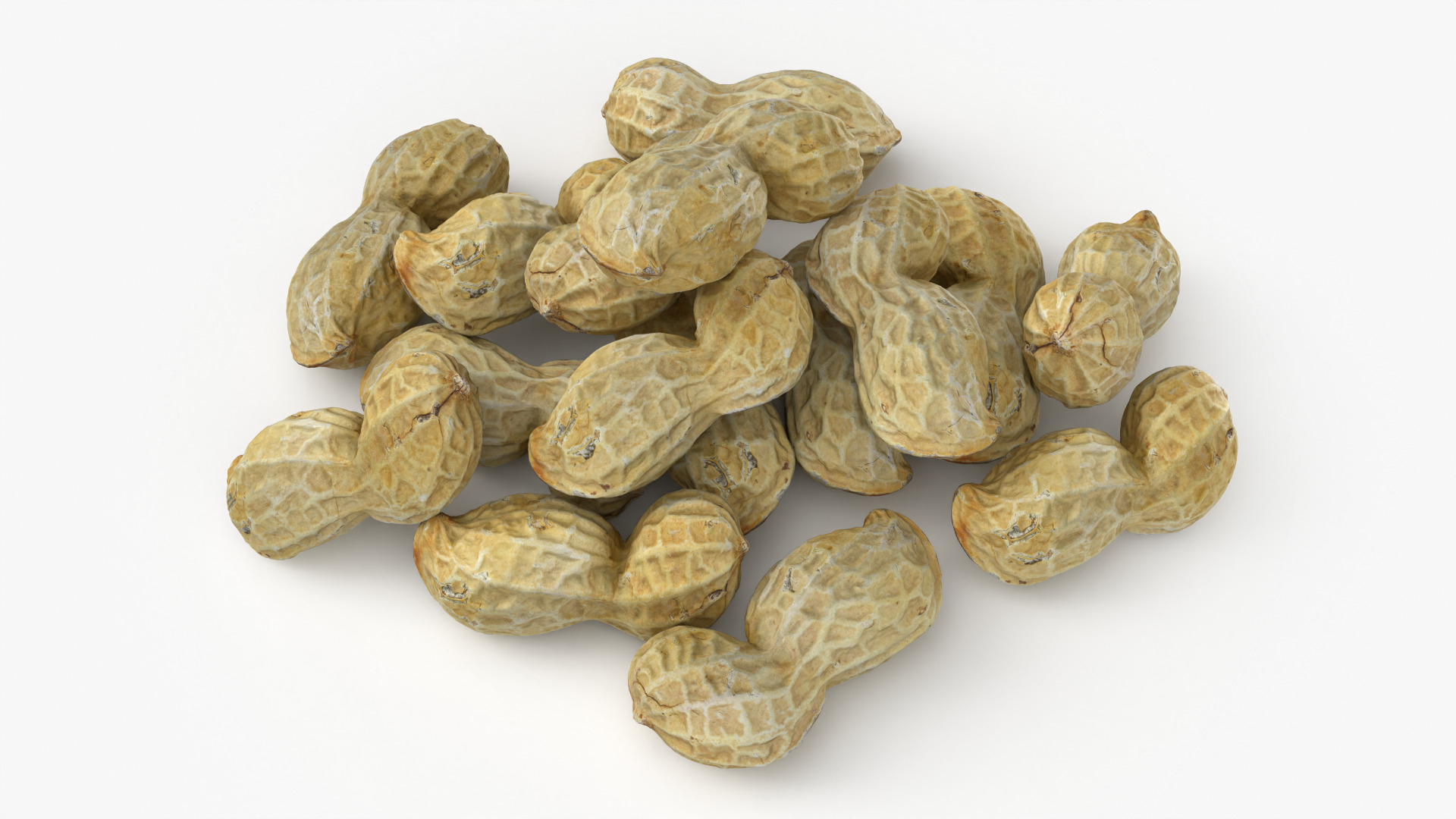 Peanut Shell Pile 3D Model