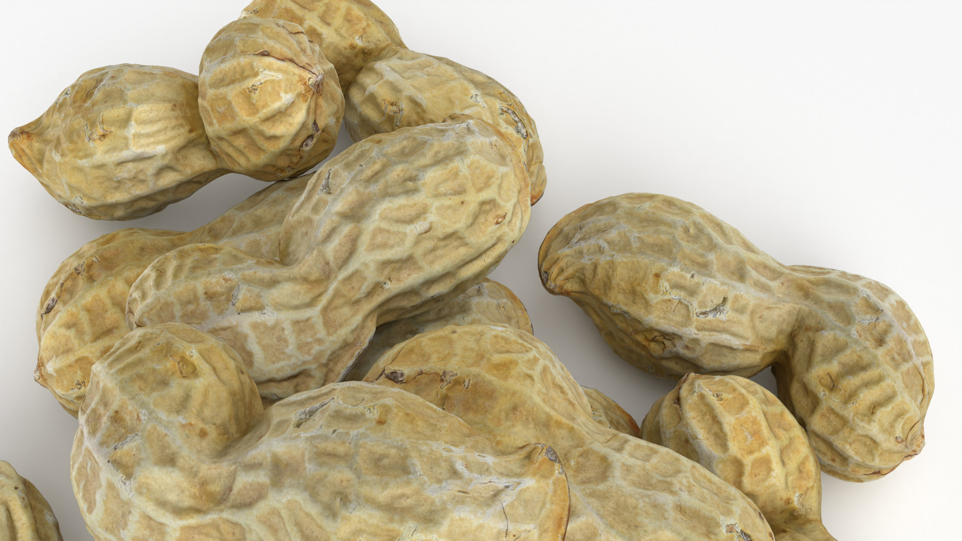 Peanut Shell Pile 3D Model