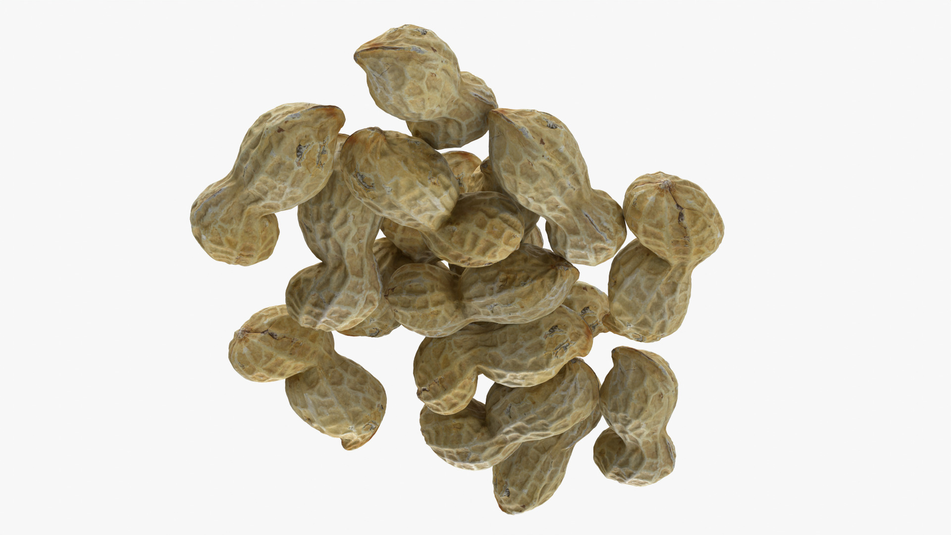 Peanut Shell Pile 3D Model