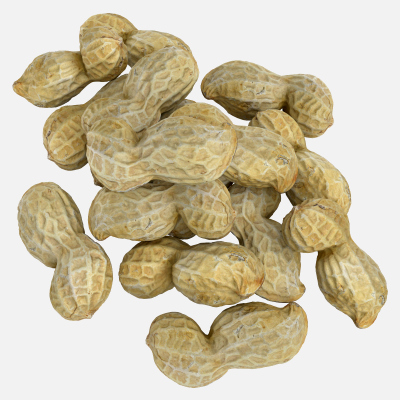 Peanut Shell Pile