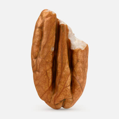Pecan Nut Cut
