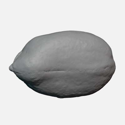 Peeled Peanut - For 3D Print 3D Model