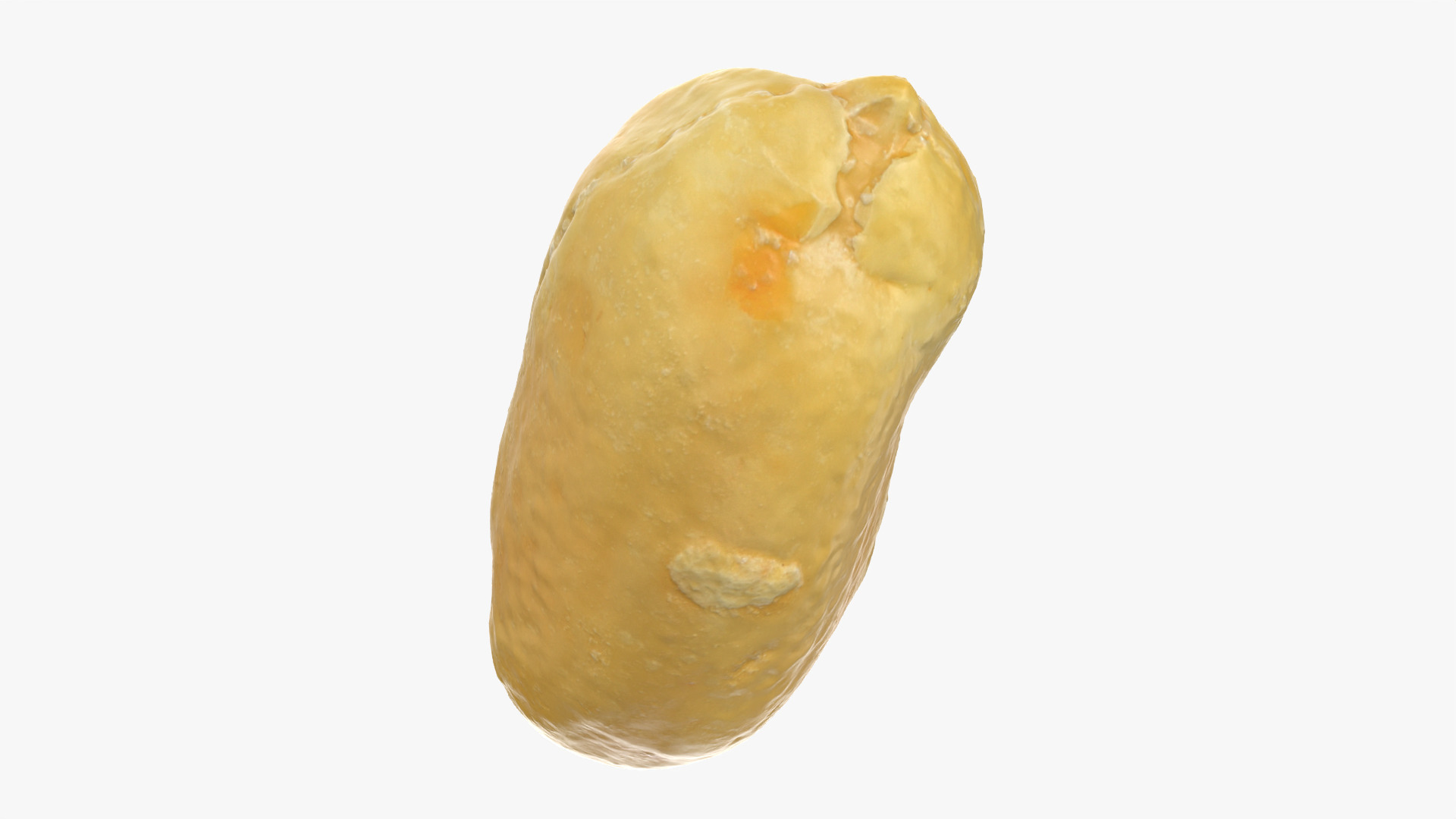 Peeled Peanut 3D Model