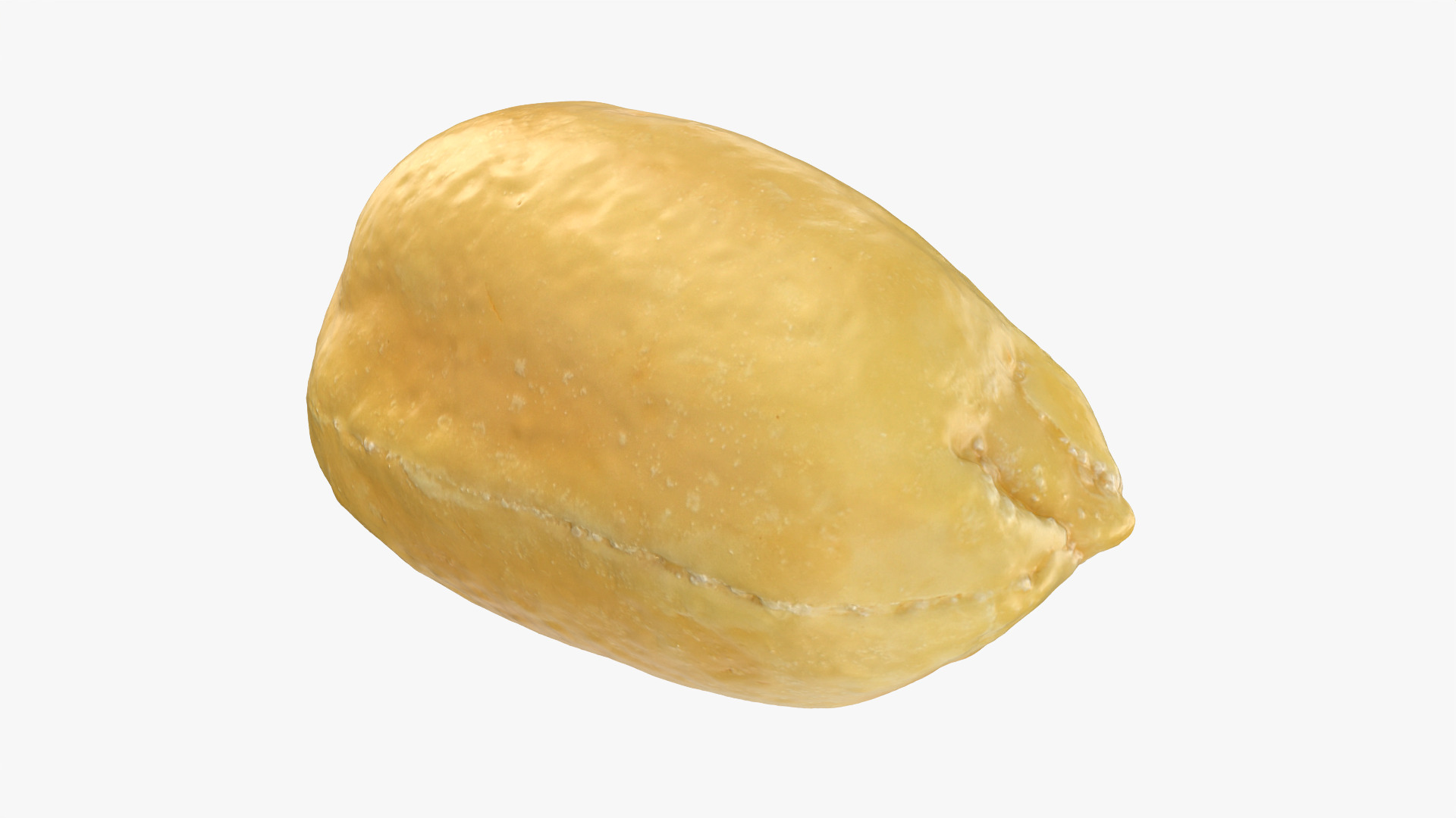 Peeled Peanut 3D Model