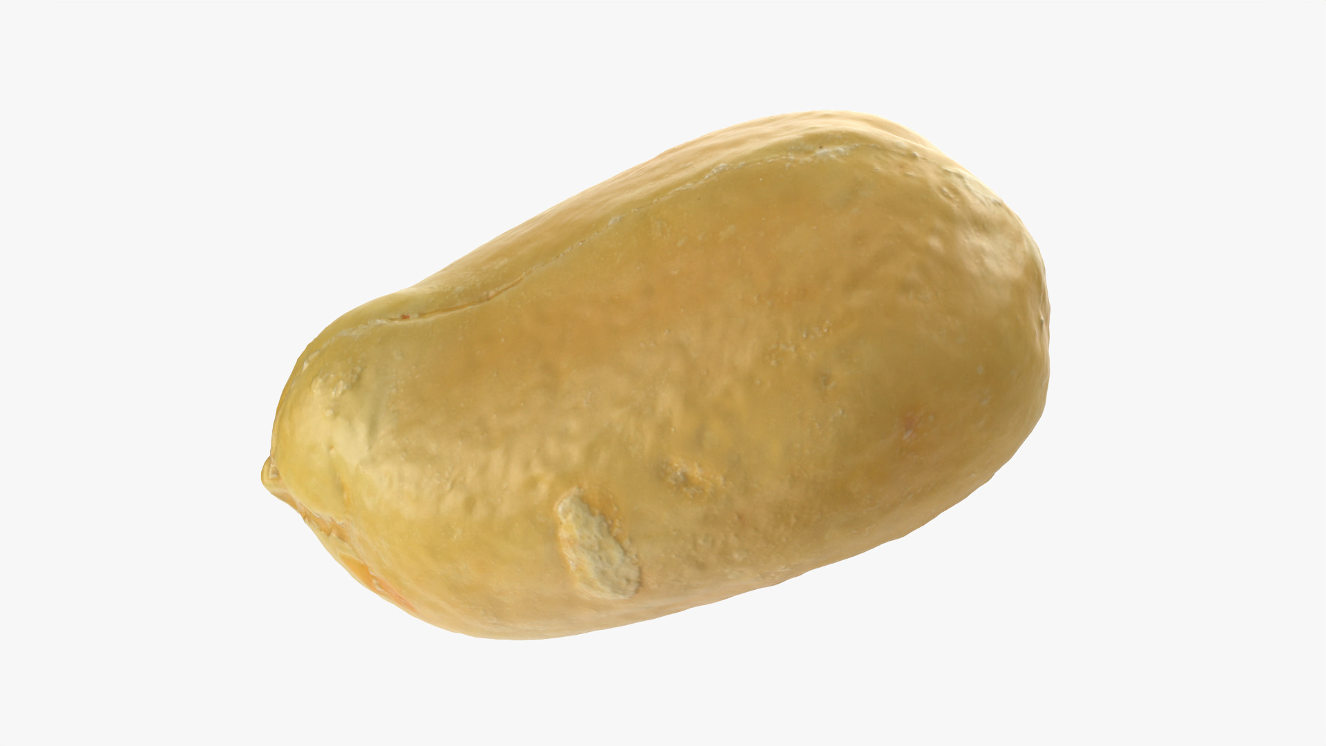 Peeled Peanut 3D Model