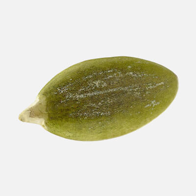 Peeled Pumpkin Seed 01 - 3D Scanned