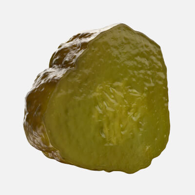 Pickle Slice - 3D Scanned