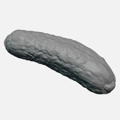 Pickled Cucumber 01 - For 3D Print