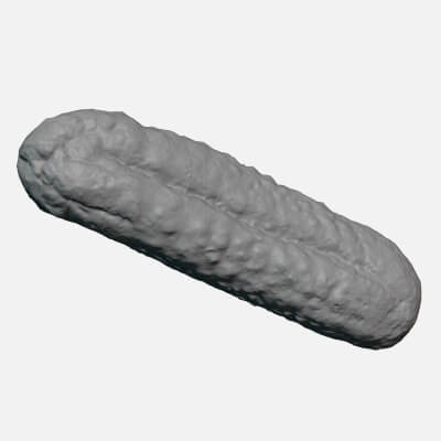 Pickled Cucumber 02 - For 3D Print