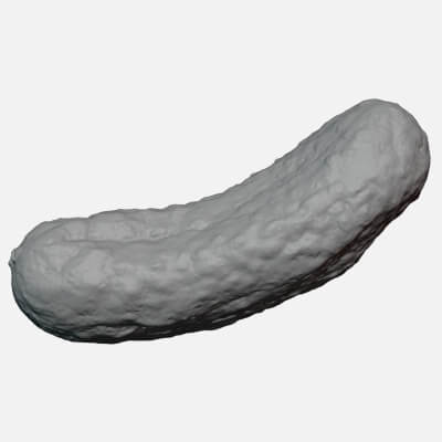 Pickled Cucumber 03 - For 3D Print