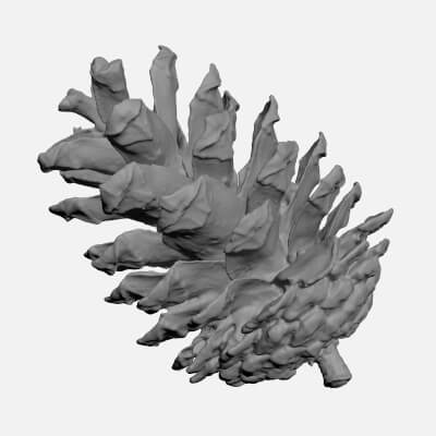 Pine Cone 02 - For 3D Print