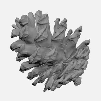 Pine Cone 03 - For 3D Print