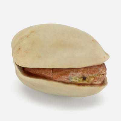 Realistic Pistachio