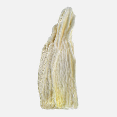 Pomelo Seed - 3D Scanned