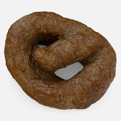 Realistic Poop 1