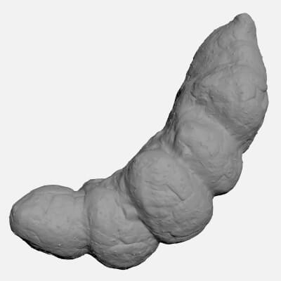 Poop 2 - For 3D Print