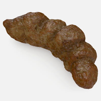Realistic Poop 2