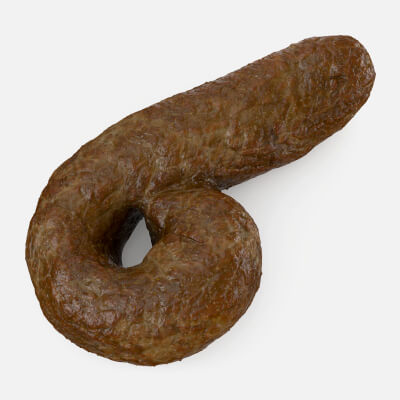 Realistic Poop 3