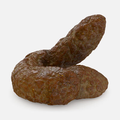 Realistic Poop 4