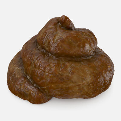 Realistic Poop 5