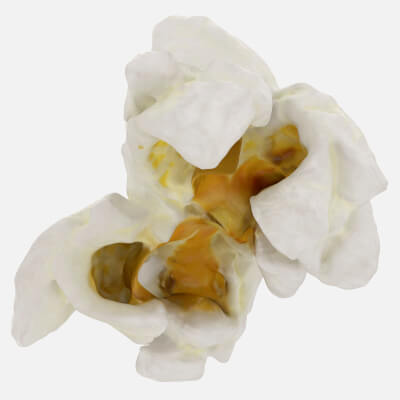 Realistic Popcorn 01