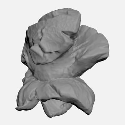 Popcorn 03 - For 3D Print