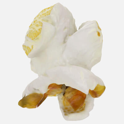 Realistic Popcorn 03