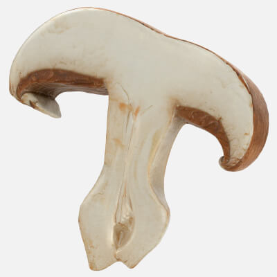 Portobello Mushroom Slice