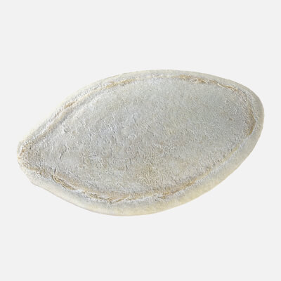 Pumpkin Seed 02 - 3D Scanned