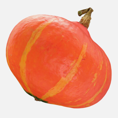 Realistic Pumpkin