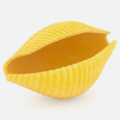 Raw Conchiglie