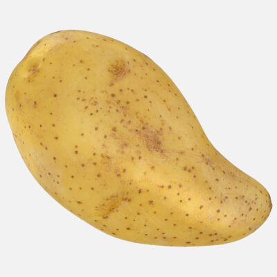 Realistic Raw Potato