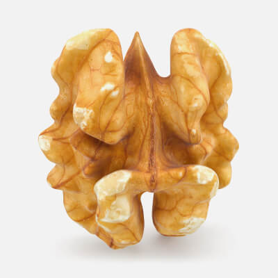 Realistic Raw Walnut