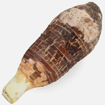 Whole Taro - 3D Scanned