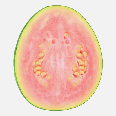 Round Pink Guava Slice